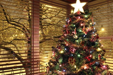 Christmas Tree Ideas.jpg