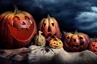 Free Halloween Live Wallpapers For Android