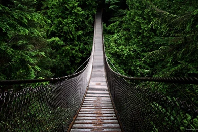 Tablet Live Wallpapers