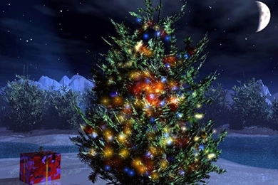 Christmas Tree Lighting Decorations