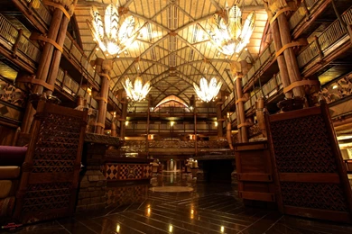 Six Animal Kingdom Lodge Wallpapers – AtDisneyAgain