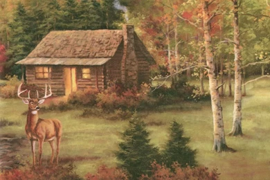 Http://www.papermywalls.com/deer cabin lodge wallpaper border ...