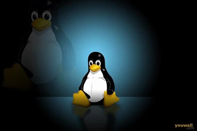 YouWall   Linux Wallpapers   Wallpaper,wallpapers,free Wallpapers ...