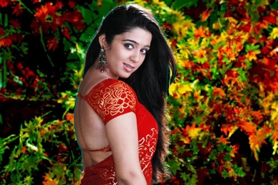 Wallpapers Nacher   Wallpapers Toplist