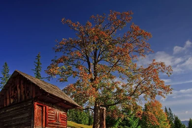 Autumn Sky Trees Lodge Nature Landscape HD Wallpapers   BestePics