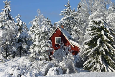 Download Wallpapers 2560x1600 Lodge, Snow, Trees, Winter ...