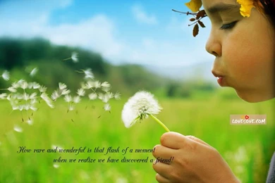 Broken Friendship Quotes Wallpapers