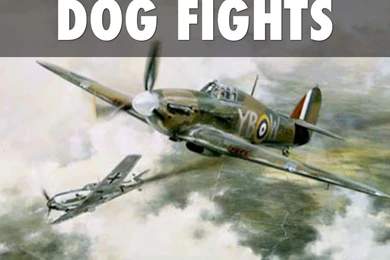 Battle Of Britain By Luther Prestemon