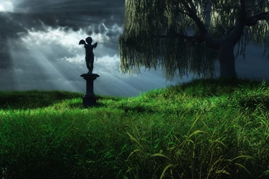 Green Grass Wallpapers 195915