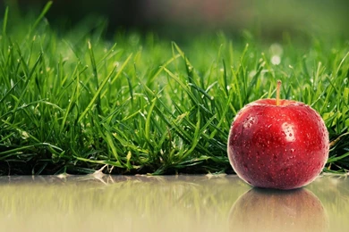 Red Apple With Water Drops By The Green Grass Wallpapers ...