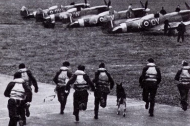 Crew And Fate Of The "Wee Willie". She Was The Last 91st Bomb ...