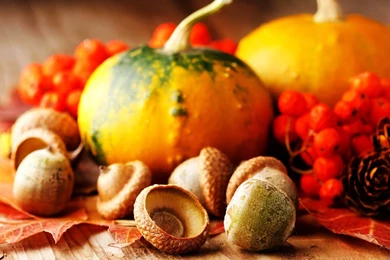 Free Thanksgiving Wallpapers Screensavers   Wallpapers Cave