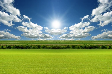 Green Grass Field   Wallpaper.