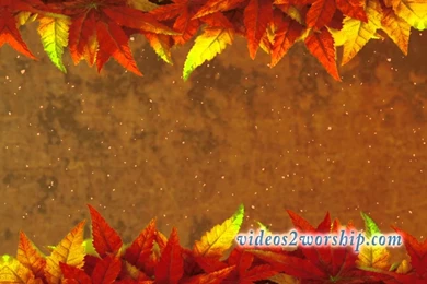 Thanksgiving Worship Motion Backgrounds Leaves And Dust   YouTube