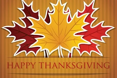 Thanksgiving Backgrounds With Maple Leaf Vector Design 05   Vector ...