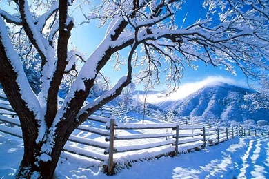 Winter Desktop Wallpapers Free 2015   Grasscloth Wallpapers