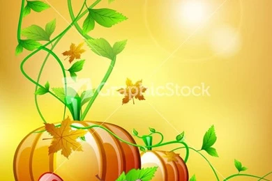 Thanksgiving Backgrounds Stock Image