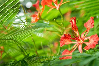 HD Wallpapers For Windows 8   HD Images New