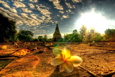 Temple Site Scene >> HD Wallpaper, Get It Now!