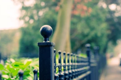 Macro Iron Fence Trees Photography HD Wallpapers