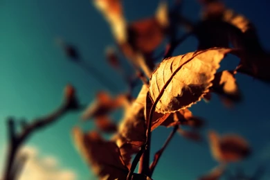 Photos (general) HD Wallpapers And Backgrounds