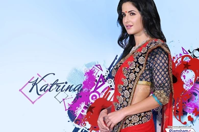 Katrina Kaif Actress Wallpapers Page No. 8   Glamsham