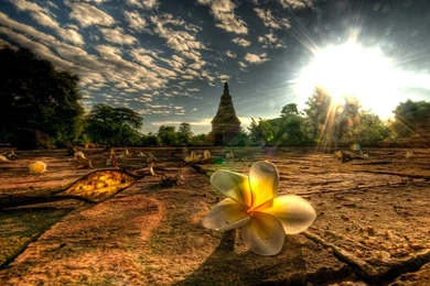 Album: Beautiful Photos And Wallpapers (page 11 Of 13, Full Images)