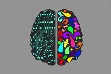 Logical And Creative Brain Hemispheres Wallpapers Vector ...