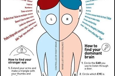 Heart Touching Wallpapers: Right Brain Left Brain, Personality ...