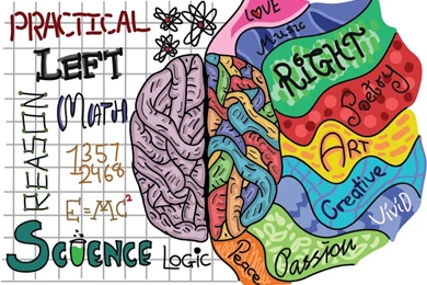 Left Brain Vs Right Brain By TheWantedPanda On DeviantArt