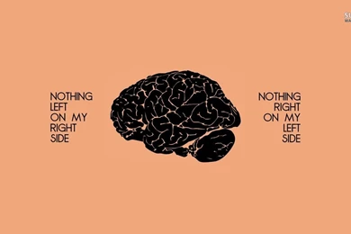 Human Brain's Sides Wallpapers   Typography Wallpapers