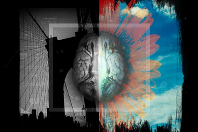 Right And Left Brain