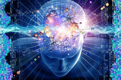 20 Things You Probably Didn't Know About The Human Brain