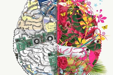 Colorful Brain Wallpaper Images