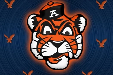 Auburn War Eagle On Pinterest