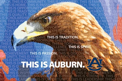 Office Of Communications And Marketing   Wallpapers   Auburn ...