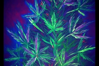 Marijuana Plant By MaryjaneZombie On DeviantArt