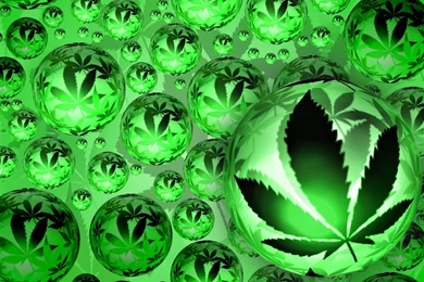 Fonds D'écran Cannabis : Tous Les Wallpapers Cannabis