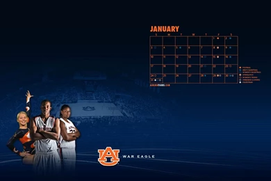Auburn Tigers Backgrounds Wallpapers   15063