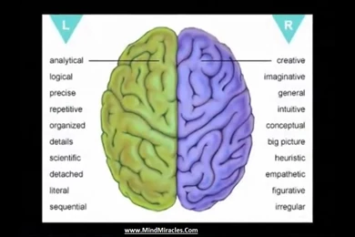 Images : Right Brain Left Brain Test Take The Quiz Brain