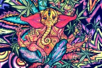 Trippy Psychedelic Marijuana Plant Art Colorful Vibrations