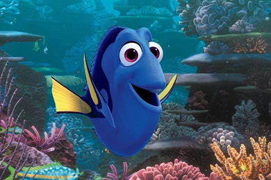 Finding Dory Wallpaper, Movies / Animation: Finding Dory, Nemo ...