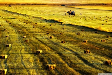 Armenia, Arpi Lake Wallpapers