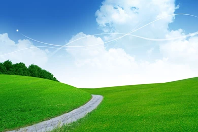 Backgrounds Photoshop   1546358