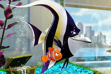 Finding Nemo 1600x1200 Wallpapers, 1600x1200 Wallpapers & Pictures ...