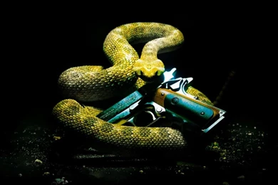 Hitman Absolution Rattlesnake HD HD Desktop Wallpapers : Widescreen ...