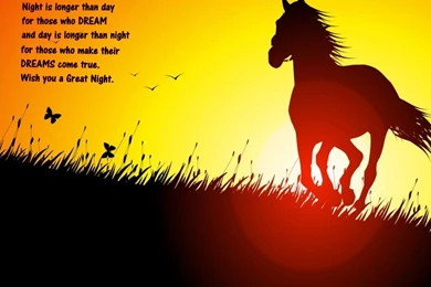 Amazing Good Night HD Wallpapers Collections