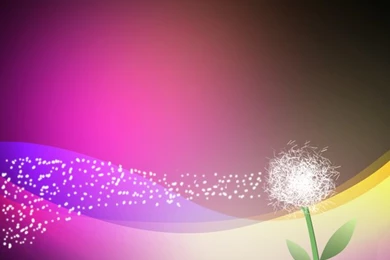 Dandelion Backgrounds By Zebra Soup On DeviantArt