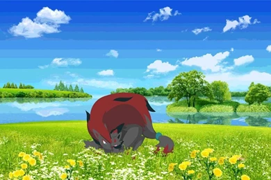 Zoroark And Zorua Wallpapers By Shadowhatesomochao On DeviantArt