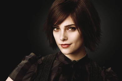 Ashley Greene HD Wallpapers Free Download